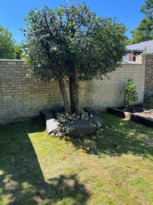 Garden- click for photo gallery